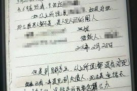 滨城为什么选择专业追讨公司来处理您的债务纠纷？